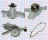 AQUAPLUS 85-1830 Water Pump